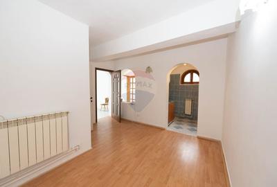 Spatiu comercial, birou, de inchiriat - in zona Domenii - 1