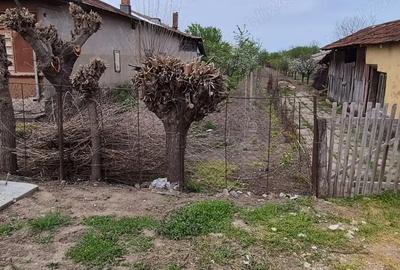 Teren în Miloșești - 4