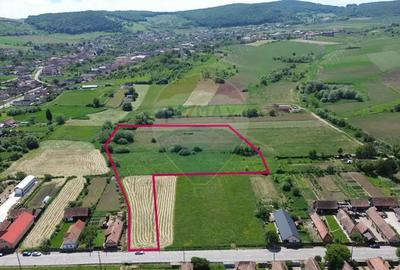 Teren de 15360 mp, în Blăjel - 11
