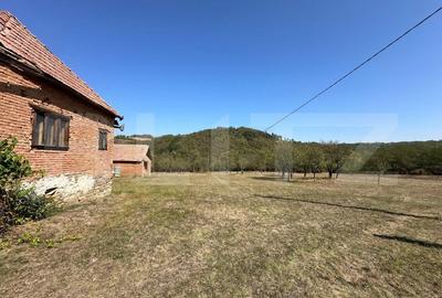 Teren intravilan de vanzare 14000mp,ideal pentru investitie,Stauini,Vintu de Jos - 5