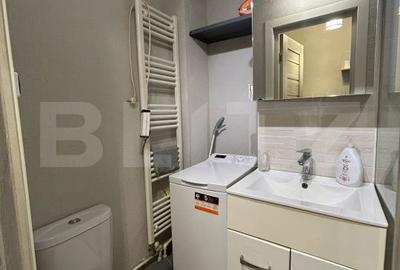 Apartament cu 2 camere semidecomandat în Dâmbu Pietros - 7