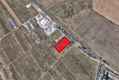 Teren de 10000 mp, în Măgurele - 1