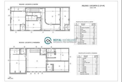 Royal Imobiliare - Vanzare Vila cu 6 camere zona B-dul Bucuresti - 21