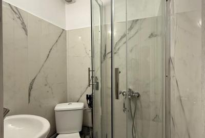 Garsonieră decomandată în Timișoara - 4