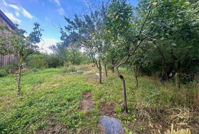 Casă individuală cu 3 camere cu Canalizare în Tinca - 3