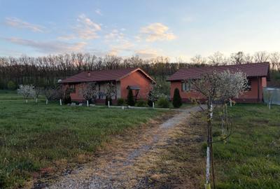 Casă cu 3 camere în Bolduț - 3