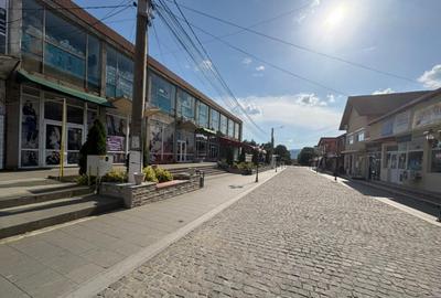 Spa?iu comercial *Bumbe?ti Jiu, str. Grigore Alexandru Ghi - 3