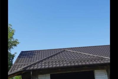 Casă cu 5 camere în Balta Doamnei - 4