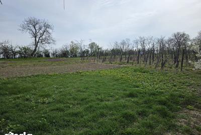 Casă cu 3 camere cu Teren 70 Mp în Secuieni - 7