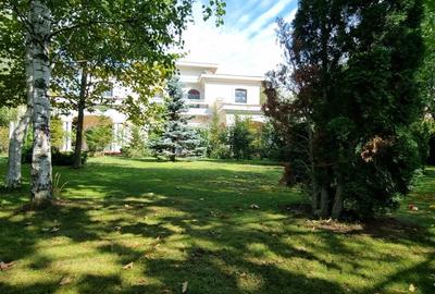 Refugiu Exclusivist – Armonie între Natură și Arhitectură - 3
