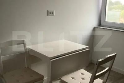 Garsonieră decomandată, mobilată în Cornitoiu - 8
