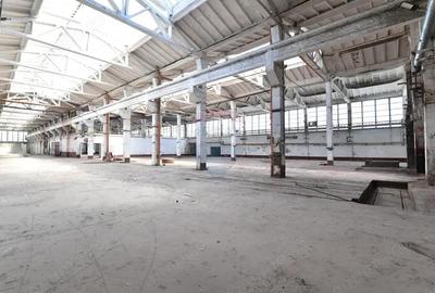 Teren industrial 35.000 mp cu hale de productie Craiova - 3