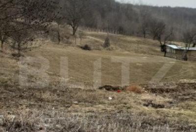 Casa batraneasca cu teren de 6700 mp intravilan, Ipatele Casa batraneasca cu teren de 6700 mp intravilan, Ipatele - 7