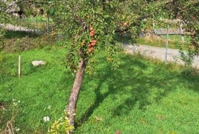 Teren intravilan de 783 mp, în Râu Sadului - 2