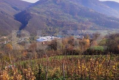 Casa la munte cu teren generos de 9340mp in zona Capalna - Valea Sebesului - 11