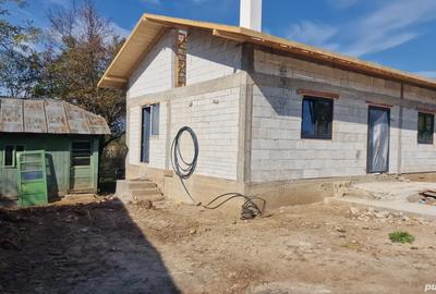 Casă cu 4 camere cu Teren 1800 Mp în Bârsoiu - 8