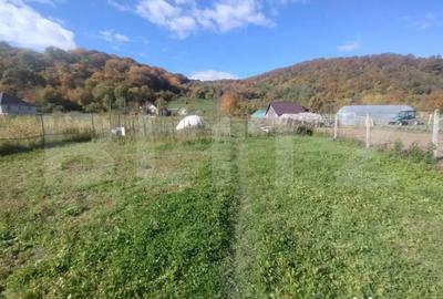 Casă cu 3 camere cu Teren 2338 Mp în Central - 10