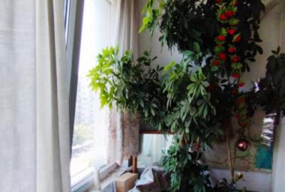 Megaocazie apartament 2 camere decomandat, etaj.8/10 viz - 18