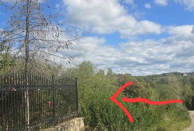 Teren de 970 mp, în Pietrișu - 13