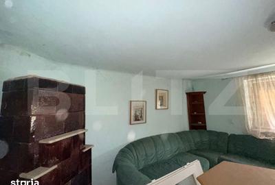 Casă cu 7 camere cu Teren 2500 Mp în Rapoltu Mare - 3