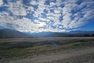 Teren de vanzare in satul de vacanta Dejani - 11