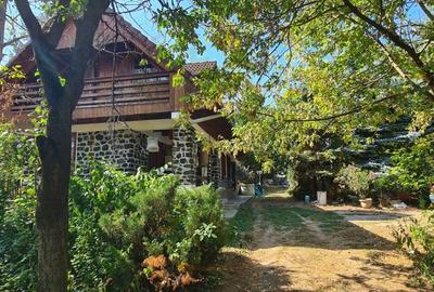 De Vanzare Casa si Cabana 74 ari Viille Satu Mare - 1