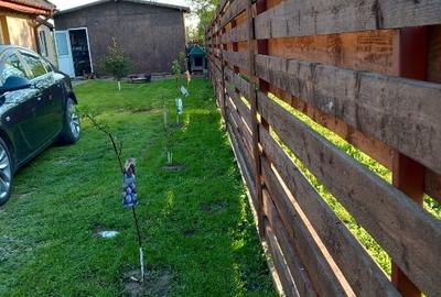 Casa cochetă Casa cochetă - 3