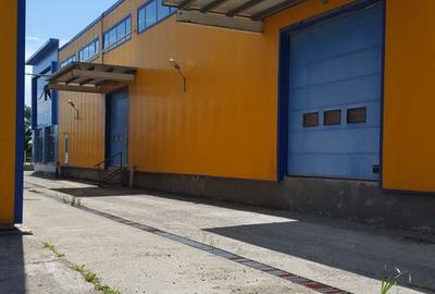 Spa?iu depozitare si productie Ciolpani - 28