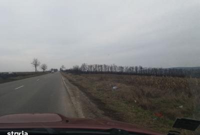 Teren de 13050 mp, în Mihai Eminescu