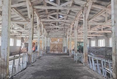 Teren de 803 mp, în Breaza - 5