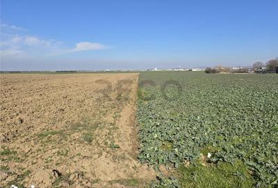 Teren de 22418 mp, în Calea Aradului - 5