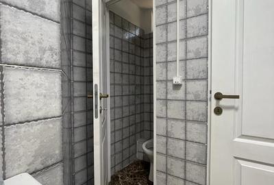 Brancoveanu-Nitu Vasile | Casa Individuala- D+P+1+M - 21