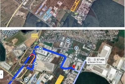 Teren de 22800 mp, în Ștefăneștii de Jos - 4