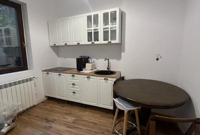 Parcul Carol, Str. Deceneu nr. 8, casa smart spatioasa Parcul Carol, Str. Deceneu nr. 8, casa smart spatioasa - 4