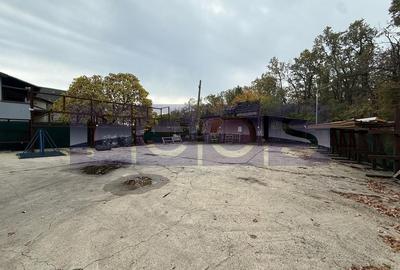 Hala  de închiriat Otopeni | depozitare | productie | aviz ISU | - 7