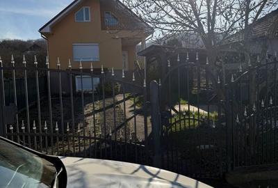 Casă cu 4 camere în Central - 1