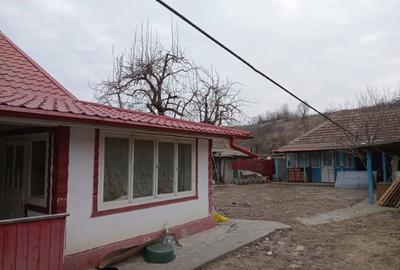 Casă la țară cu anexă și beci - 6