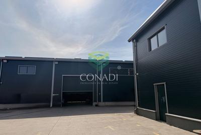 Spațiu industrial, de 1,420 mp, în Cernica - 3