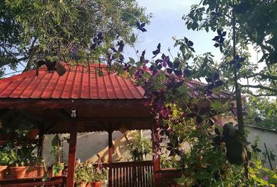 Casă cu Teren 2000 Mp în Central - 4