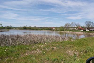 Teren de 2474 mp, în Săpata - 14