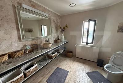 Casă cu 8 camere cu Teren 2759 Mp în Mușcel - 9