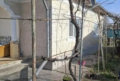 Casă cu 3 camere cu Teren 650 Mp în Sfântu Gheorghe - 5