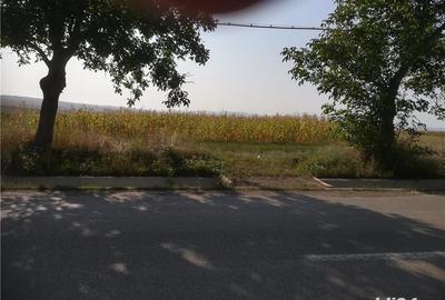 Teren de 5000 mp, în Cristești - 3