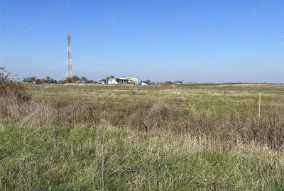 Teren de 22000 mp, în Livada - 17