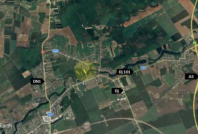 Comision 0% - Teren Balotesti | Deschidere LAC - 6