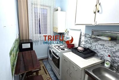 Apartament cu 4 camere semidecomandat în Cetate - 4