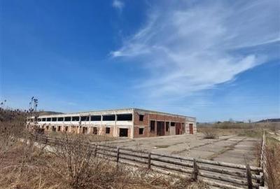 TEREN DE VANZARE 10.000 mp  PTR BUSINESS  SI  HALA DE VANZARE IN EXCLUSIVITATE - 6