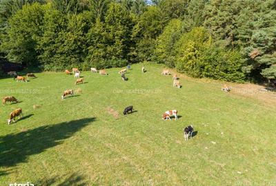 Spațiu comercial, în Vulcan - 18