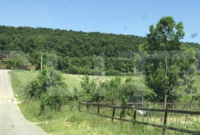 Oportunitate! Teren intravilan 1200 mp, Satul de Vacanta Pod - 7