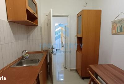 Apartament cu 2 camere, mobilat în Camil Ressu - 7